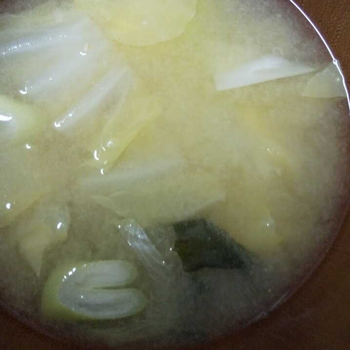 白菜とわかめと葱のお味噌汁